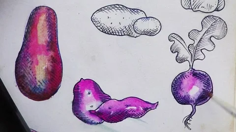 Beets and roots Stock Footage 291335532