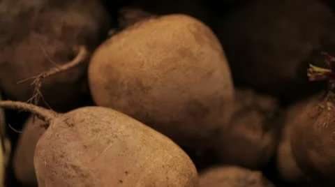 A beets on the counter of the store. Stock Footage 22244249