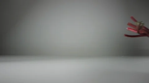 Beets falling on water surface. Slow Motion. Stock Footage 128771725