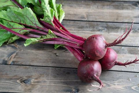 Beets Stock Photos