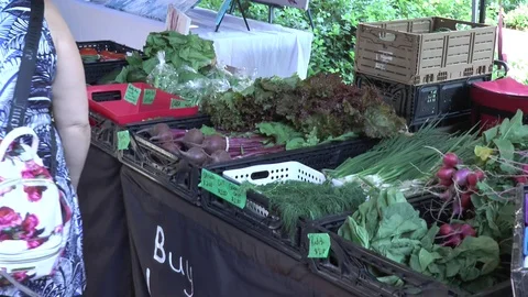 Beets, Radishes and Root Vegetables 스톡 동영상 99317917