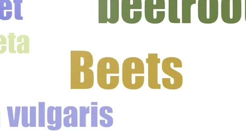 Beets Wordcloud Animated On White Background Stock Footage 107238899