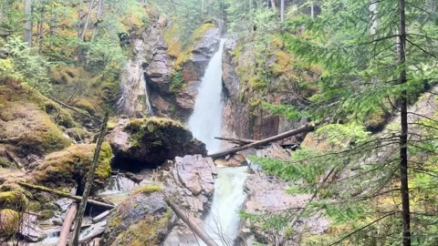 Begbie Falls: Overcast Forest Waterfall - Revelstoke Stock Footage 345178988