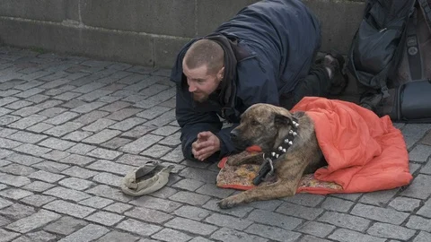 A beggar with a dog begging. Stock Footage 119710806