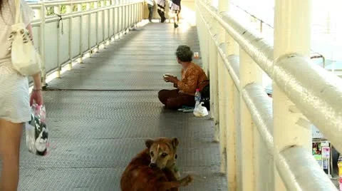 Beggar Lady Stock-Footage 10562098