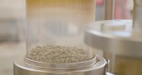 Begining of the roast process of coffe beans Stock Footage 152446863