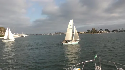 Begining of sailing race with yachts moving in harbor on cloudy afternoon .mp Stock Footage 67465314