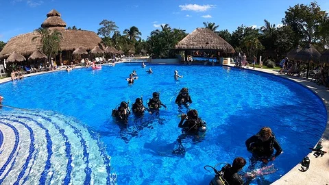 Beginner Scuba Divers Learning Skills 스톡 동영상 128376970