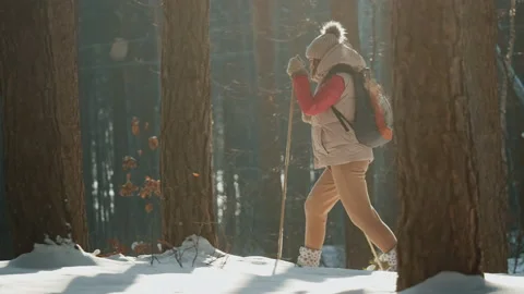 Beginner skier with a backpack is skiing in the forest Stock Footage 160743759