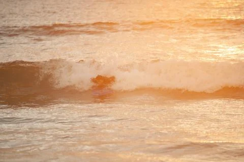 Beginner surfer learns to row and ride on a training board in small waves in the Stock Photos