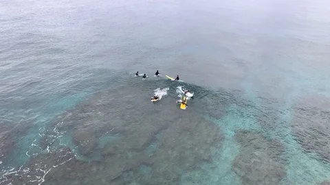 Beginner surfers learning to surf over coral reef shot from drone Video stock 124890776