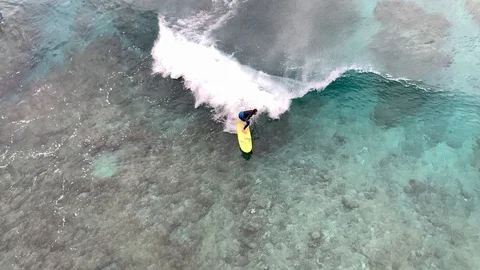 Beginner surfers learning to surf over coral reef shot from drone Stock Footage 124890840
