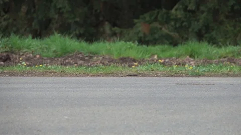 Beginner walks through in-line skating in the park Stock Footage 88733278