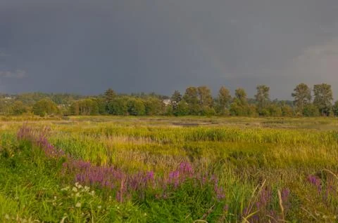 Beginnig of the rainbow Stock Photos