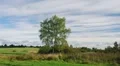 The beginning of autumn HD Footage