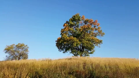 Beginning of autumn Stockbeeldmateriaal 80726210