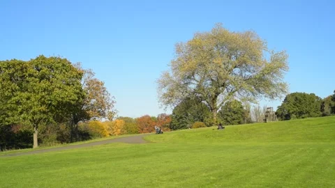 Beginning of Autumn Stock Footage 289226880