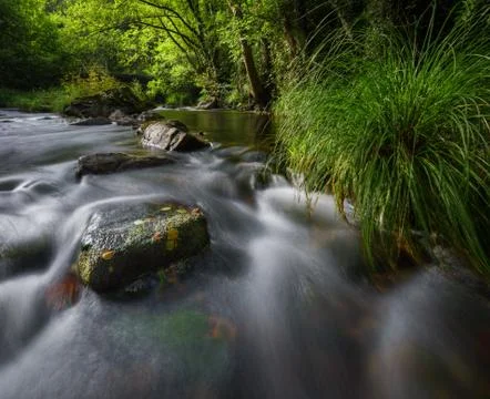 Beginning of autumn, in a river between forests Stock Photos