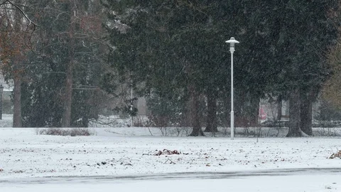 Beginning of the blizzard Stock Footage 101871938