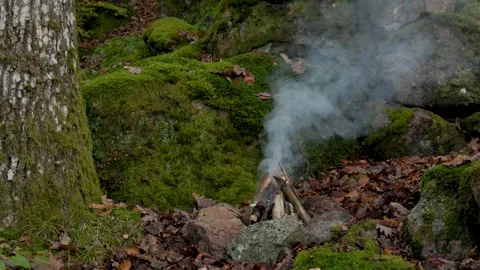 Beginning of a Campfire in the Forest  Smoke Rising Video stock 320130226