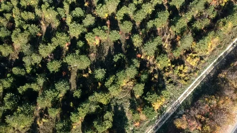 The beginning of the Caucasus Mountains flight Stock Footage 128691579