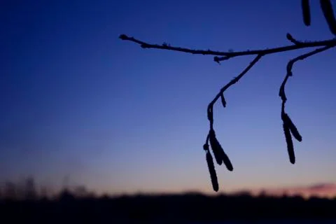 The beginning of dawn Stock Photos