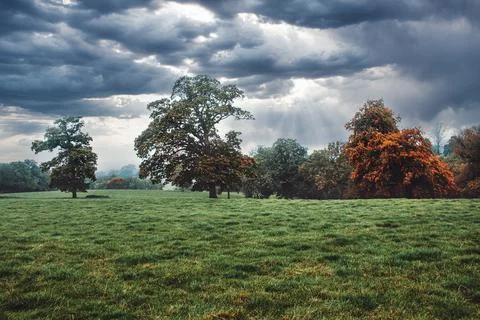 Beginning of fall in the Fields of England Stock Photos