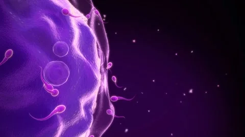 Beginning Stock Footage 7747515