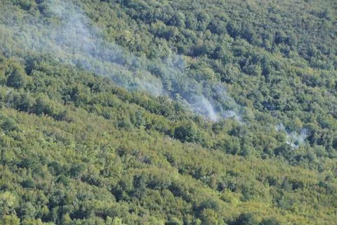 Beginning of a forest fire Stock Photos