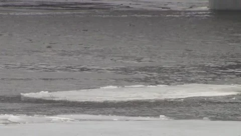 The beginning of the ice drift on the river in the spring. Stock Footage 150122743