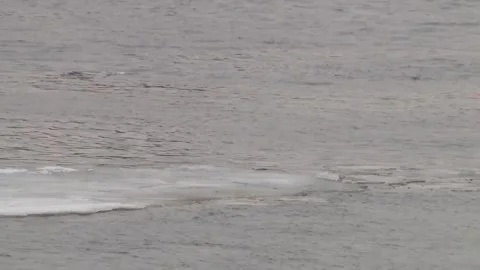 The beginning of the ice drift on the river in the spring. Stock Footage 150122790