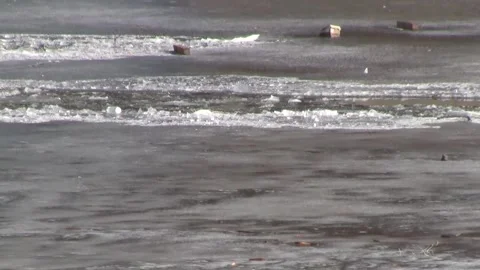 The beginning of the ice drift on the river in the spring. Stock Footage 150122800