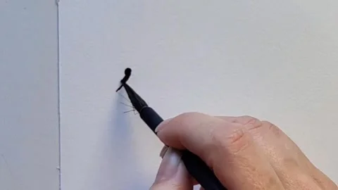 Beginning of Ink Drawing with Artistic Brush Strokes Stock Footage 314984417