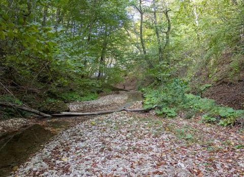 The beginning of a mountain river , a slow flow in a shallow riverbed Stock Photos