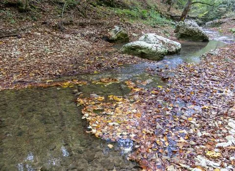The beginning of a mountain river , a slow flow in a shallow riverbed Stock Photos
