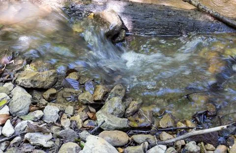 The beginning of a mountain river , a slow flow in a shallow riverbed, an aut Stock Photos