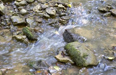 The beginning of a mountain river , a slow flow in a shallow riverbed, an aut Stock Photos