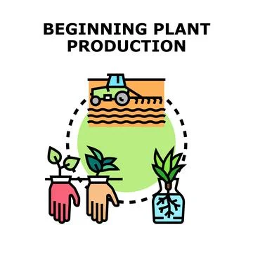 Beginning plant production cycle vector icon illustration Stock Illustration
