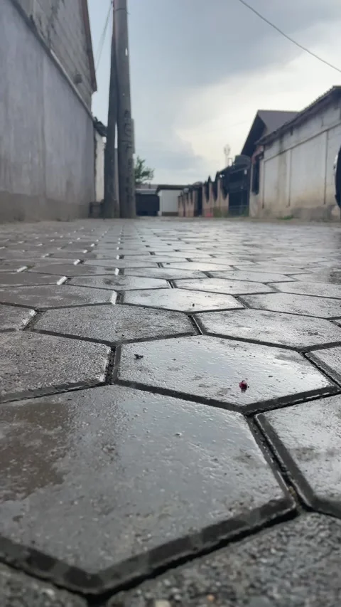 Beginning of rain drops falling on the ground in Kosovo, nature macro shot Vídeo Stock 196887192