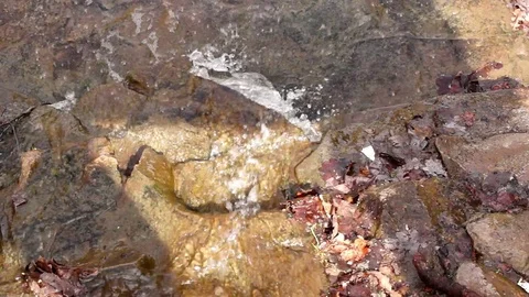 Beginning of the River Don Stock Footage 108446082