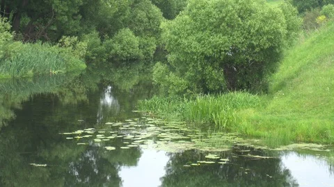 The beginning of the river Don. Stock Footage 112974979