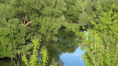 The beginning of the river Don. 스톡 동영상 112975018