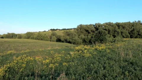 The beginning of the river Don. Shooting from the quadcopter. Stock Footage 112975089