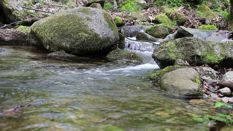 At the beginning of a small river near the town of Petrich Stock Footage 74775462