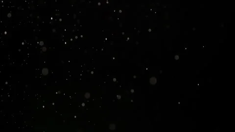 Beginning of a Snowfall 4K TZ Stock Footage 338131228