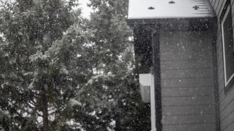 Beginning of snowfall. Foto stock