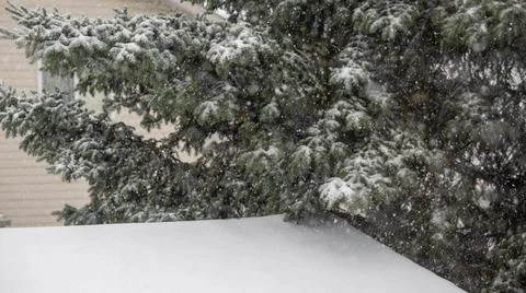Beginning of snowfall. Stock Photos