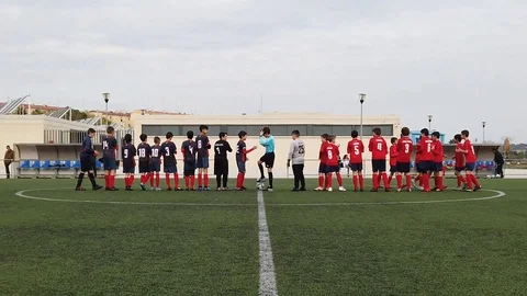Beginning of a Soccer Match Stock Footage 105286759
