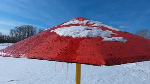 The beginning of spring Stock Footage 149565069