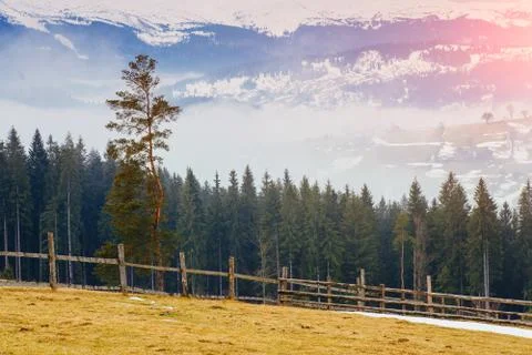 The beginning of spring in the mountains Stock Photos